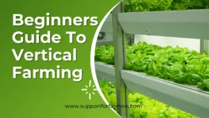 Beginners Guide To Vertical Farming