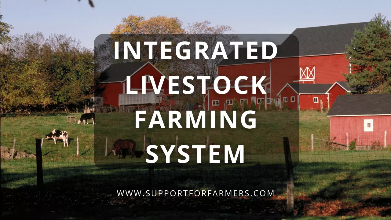 Integrated Livestock Farming System