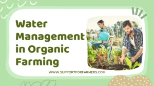 Water Management in Organic Farming