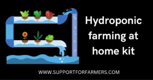 Hydroponic farming at home kit