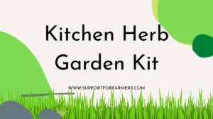 Kitchen Herb Garden Kit