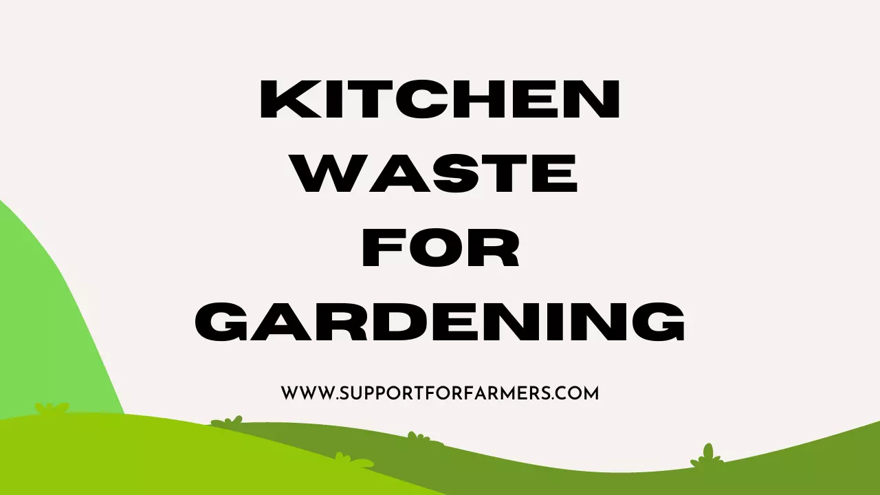 Kitchen Waste For Gardening